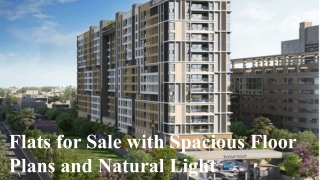 Flats for Sale with Spacious Floor Plans and Natural Light