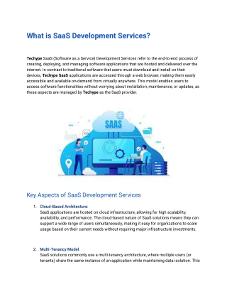 What is SaaS Development Services?