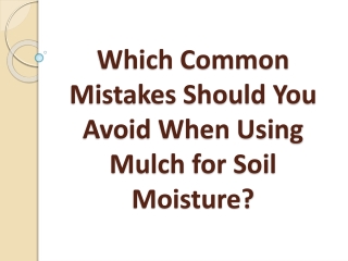 Which Common Mistakes Should You Avoid When Using Mulch for Soil Moisture