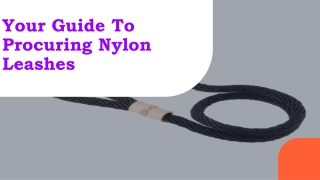 Your Guide To Procuring Nylon Leashes