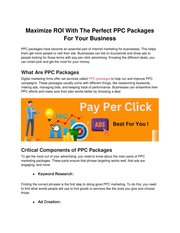 maximize roi with the perfect ppc packages