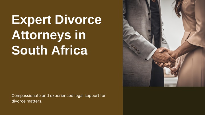 expert divorce attorneys in south africa