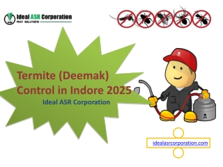 Termite (Deemak) Control in Indore 2025  Ideal ASR Corporation