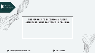 The Journey to Becoming a Flight Attendant  What to Expect
