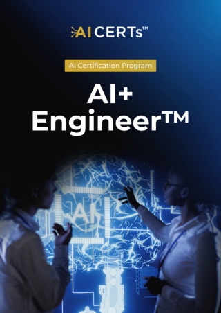 AI  Engineer Executive Summary