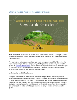 Where Is The Best Place For The Vegetable Garden