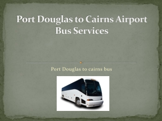 port douglas to cairns airport bus services