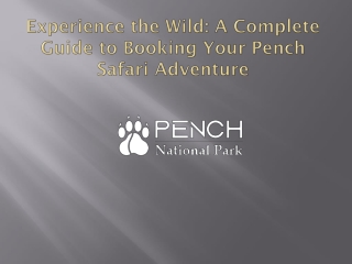 experience the wild a complete guide to booking your pench safari adventure
