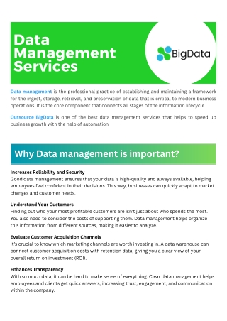 Best data management service provider OutsourceBigdata