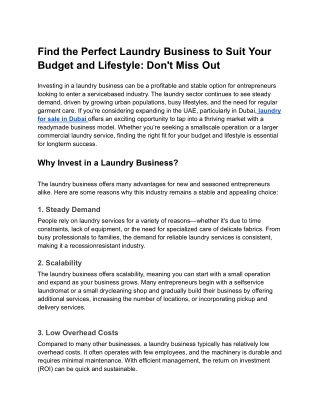 Find the Perfect Laundry Business to Suit Your Budget and Lifestyle_ Don't Miss Out