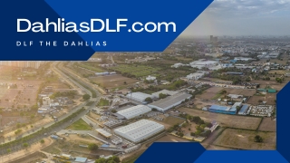 DLF The Dahlias that is named as extortionate project in Gurgaon