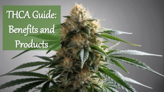 THCA Guide: Benefits and Products