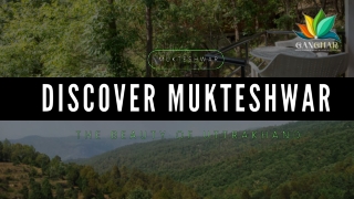 Best places to stay in Mukteshwar