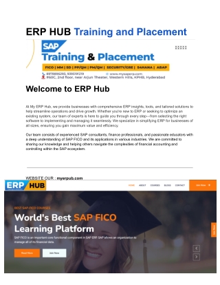 erp hub training and placement