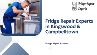 Fridge Repair Experts in Kingswood & Campbelltown