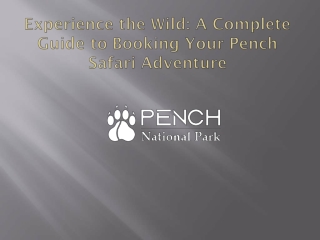 Experience the Wild: A Complete Guide to Booking Your Pench Safari Adventure
