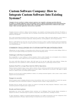 Custom Software Company ppt