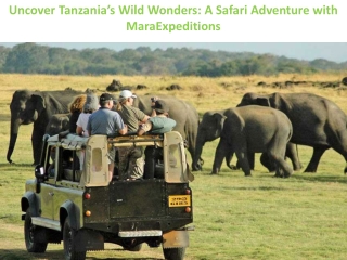 Uncover Tanzania’s Wild Wonders: A Safari Adventure with MaraExpeditions