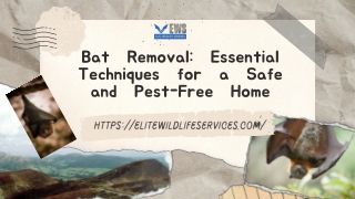Bat Removal Essential Techniques for a Safe and Pest-Free Home