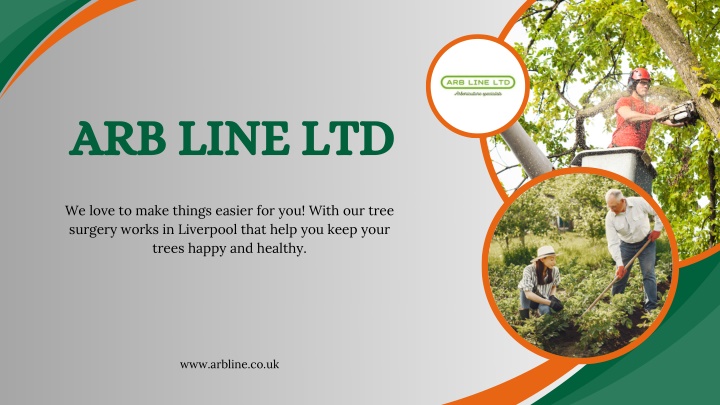 arb line ltd