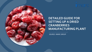 Business Plan to Setup a Dried Cranberries Manufacturing Plant