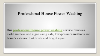 Professional House Power Washing