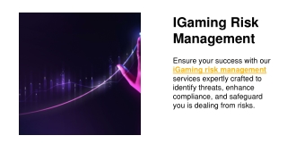 IGaming Risk Management