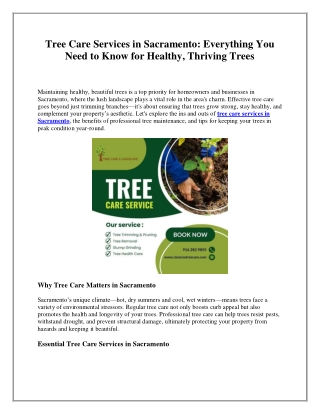 Tree Care Services in Sacramento: Everything You Need to Know for Healthy, Thriv