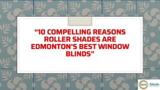 “10 Compelling Reasons Roller Shades Are Edmonton’s Best Window Blinds”