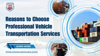 Professional Vehicle Transportation Services | Ez Muvers Llc