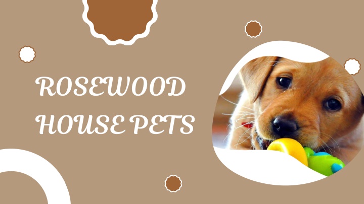 rosewood house pets