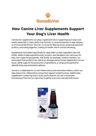 How Canine Liver Supplements Support Your Dog’s Liver Health