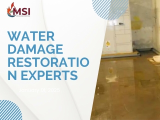 Water damage restoration experts