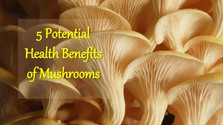 5 potential health benefits of mushrooms