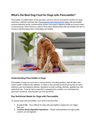 What’s the Best Dog Food for Dogs with Pancreatitis