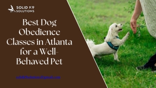Best Dog Obedience Classes in Atlanta for a Well-Behaved Pet