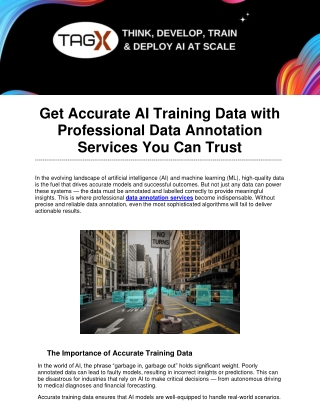 Get Accurate AI Training Data with Professional Data Annotation Services You Can