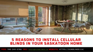 5 Reasons To Install Cellular Blinds In Your Saskatoon Home
