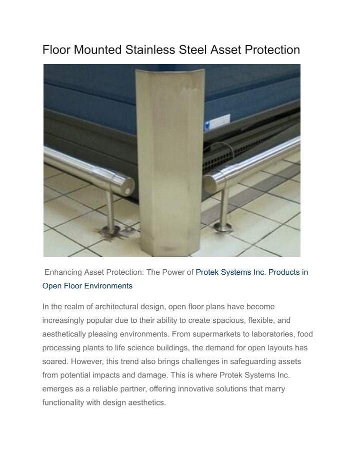 floor mounted stainless steel asset protection