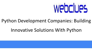 python development companies building