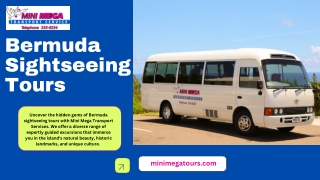 Bermuda sightseeing tours | Mini Mega Transport Services