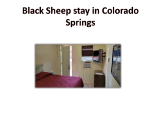 Black Sheep stay in Colorado Springs