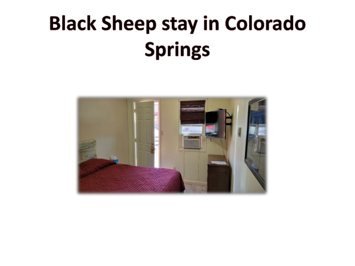 black sheep stay in colorado springs