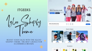 Boost Your Sales with Igloo Shopify Theme: The Best Choice for eCommerce Brand