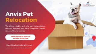 Pet Transfer Services by Anvis Pet Relocation