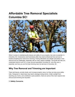 Affordable Tree Removal Specialists Columbia SC