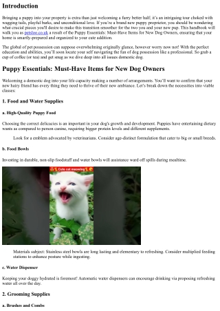 Puppy Essentials: Must-Have Items for New Dog Owners