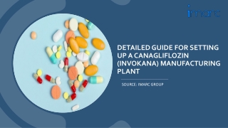 Canagliflozin (Invokana) Manufacturing Plant Report 2024 PDF