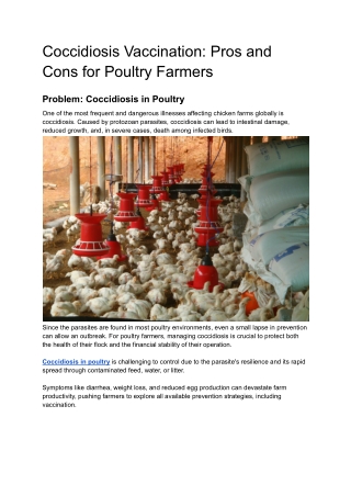 Coccidiosis Vaccination_ Pros and Cons for Poultry Farmers