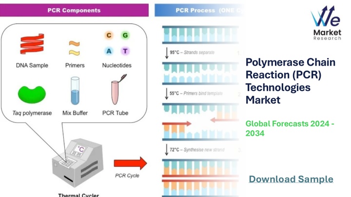 polymerase chain reaction pcr technologies market